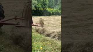 Hay bales second step!   #farm #howto #shorts #hay #farming