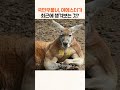 국민우울녀 여에스더가 최근에 챙겨보는 것 shorts