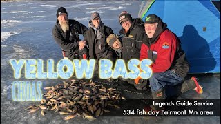 534 Yellow Bass 1 Day - Fairmont Minnesota - Wild Dakota