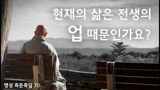 현재의 삶은 전생의 업 때문인가? l 명상 즉문즉답 70ㅣ혜안스님