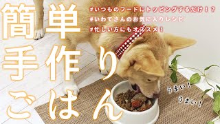 【簡単手作り犬ご飯】ドライフードにトッピングするだけ！簡単手作りごはん【帝塚山ハウンドカム】