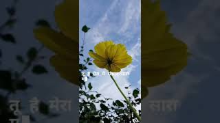 "TU HAI" Video Song | MOHENJO DARO | A.R. RAHMAN,SANAH MOIDUTTY !! New WhatsApp Status Video !!