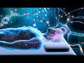 528Hz | Whole Body Regeneration | Full Body Repair and Healing While You Sleep