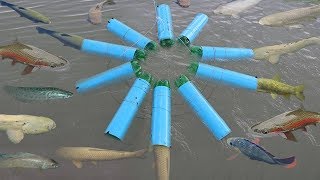 Wow!! Smart Girl Make Fish Trap Using A Lot of PVC Pipe To Catch Fish
