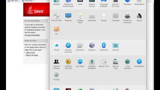 Run Physics Java Simulations