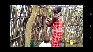 Indigenous Maasai tribe in Kenya buiding a Manyatta (Traditional House)