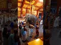 kerala trissure vadakkunnathan swamy temple pooram festivel 2022 kerala trissurpooram