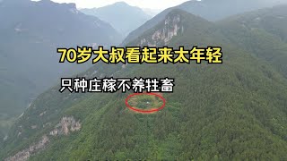 种满庄稼却不养牲畜，这哪里像70岁的大叔