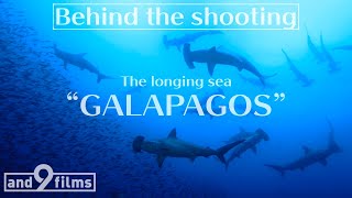 憧れの世界自然遺産 ガラパゴス諸島の記録 / The world Natural Heritage Site Galapagos 5min【Behind the shooting】