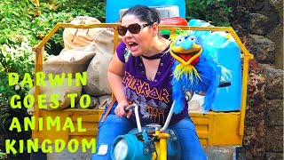 Ventriloquist goes to Disney's ANIMAL KINGDOM