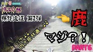 《HERO部県外遠征第2弾》九州１の林道を目指して  PART6 内大臣林道 鹿と出逢う 編 ［ 熊本県益城郡山都町 ］ FlatMan motovlogs 【 WR250R 】モトブログ鹿児島＃91