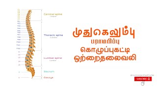 Testimoni - 15 கொழுப்பு கட்டி குறைவது எப்படி  (Ceragemtheraphy)