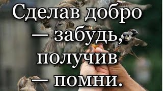 ЖИТЬ НУЖНО ТАК, ЧТОБЫ.../ СЕРГИЙ АЛИЕВ/ МАКСИМАЛЬНЫЙ РЕПОСТ!