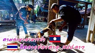 ตามล่าหาอาหารป่า ที่ตลาดช่องตาอู เมืองสุขุมา สปป. ลาว Ep. 1 |คนอีสานออนไลน์