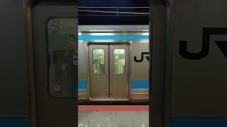 【2023.06.05】JR西日本奈良線205系(205-1001)NE405編成車両のドア開閉。黄檗駅