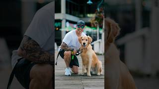 Golden Retriever Portraits #dogphotography #streetportraits #streetphotography #85mm #dogportraits