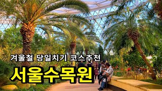 [국내여행] 겨울에 가장 따뜻한 여행지! 서울식물원 당일치기여행 (대중교통, 주차 가능) / 서울 마곡 서울식물원 /서울 가볼만한곳 서울근교 식물원 온실 카페