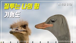 [시 모음] 67강. 질투는 나의 힘 (기형도)