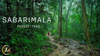 Sabarimala Pilgrimage Forest Trail on a Rainy Day | Experience in 4K UHD - Walking in Reserve Forest