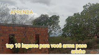 TOP 10 LUGARES PARA VOCE TA ARMANDO PASSARINHO  PAPA CA PIN E OUTROS PASSAROS