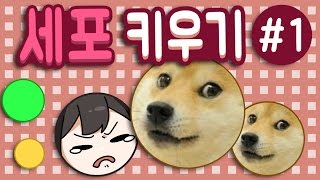 【 탬탬버린／세포 키우기 1화 】 - 탬탬(세포)키우기! 이 구역의 대기업은 나야 나~