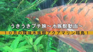 １０月のアクアマリンふくしま１