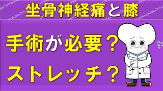 坐骨神経痛の原因は膝？ 腓骨神経麻痺は手術が必要？ 【医師が解説】