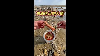 这才是海底捞自助火锅，海鲜就得现抓现吃#寻山探海征集令