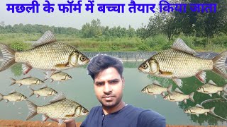 मछली के फॉर्म मे # बच्चा तैयार किया जाता है।। famous fish form ।। vlogs video।।