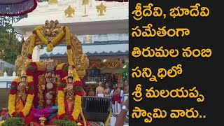 Malayappa Swamy Along With His Two Consorts Sri Devi and Bhu Devi Visits Tirumala Nambi Sannidhi