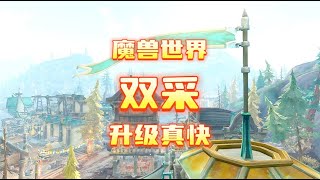 魔兽世界：双采也能升级，老魏测试升级速度，大家觉得怎样？