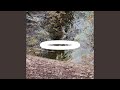 Expand (Quantum Frequency for Serotonin Release)