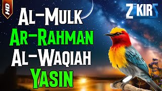Surah Al Mulk,Surah Ar Rahman,Surah Al Waqiah,Surah Yasin | Paling Merdu