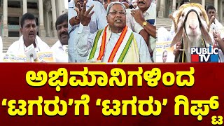 ದಾಖಲೆಯ ಬಜೆಟ್ ಮಂಡಿಸಿದ ಸಿದ್ದುಗೆ ಟಗರು ಗಿಫ್ಟ್ | Siddaramaiah | Public TV