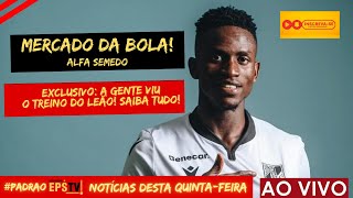 MERCADO DA BOLA | TREINO E O TEM: A GENTE ASSISTIU! SAIBA TUDO!