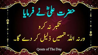 Hazrat Ali Qouts | Best Qouts Collection | Hazrat Ali Qol | Urdu Qouts | Motivational Qouts | Qouts