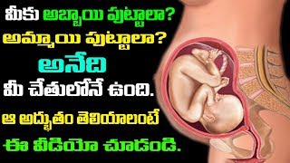 మీకు అబ్బాయి పుట్టాలా లేక అమ్మాయి పుట్టాలా? అనేది ఇప్పుడు మీ చేతుల్లోనే ఉంది ~ Hyper Entertainments