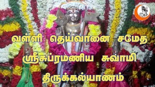 Lord Murugan Thirukalyanam || ஸ்ரீ சுப்ரமண்ய சுவாமிக்கு திருக்கல்யாணம் || Kalaiyamudham Tv