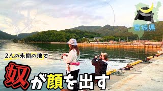 Miyagi Prefecture ☆ Undeveloped fishing port