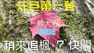 元旦「鳶嘴稍來步道」追楓 ？快閃｜登山健行 影音10