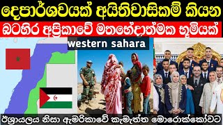 අයිතිකරුවන් දෙදෙනෙක් සිටින බටහිර සහරාව ගැන මේ දේවල් දන්නවද | western sahara in sinhala