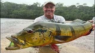 New IGFA All Tackle World Record Peacock Bass caught on fly