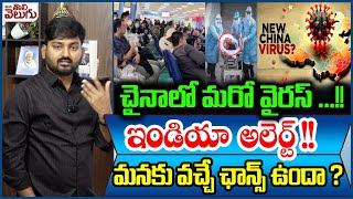 చైనాలో మరో వైరస్ ...!! ఇండియా అలెర్ట్ !! మనకు వచ్చే ఛాన్స్ ఉందా ? | New Virus Outbreak In china