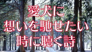 愛犬に想いを馳せたい時に聴く詩／星屑の革紐【サンホラ】神風なり