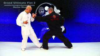 tai chi push hands tai chi chuan fight style use tai chi - lesson 3