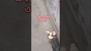 ওদের একটু ছেড়েছি