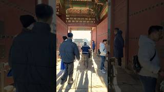 Gyeongbokgung | chụp ảnh ngẫu hứng người lạ - P1 #photography #photooftheday