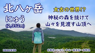 【北八ヶ岳】太古の世界!? 神秘の森を抜けて山々を見渡す山頂へ　白駒池～にゅう～中山～高見石～白駒池