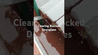 How To Clear Blocked Down Pipes #guttercleaning #blockeddrains