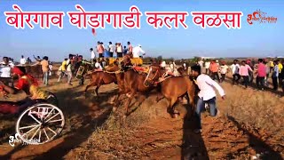 💥 बोरगाव घोडागाडी कलर वळसा 💥 कशी हायं फाईट... borgaon ghodagadi maidan #horse #horseracing